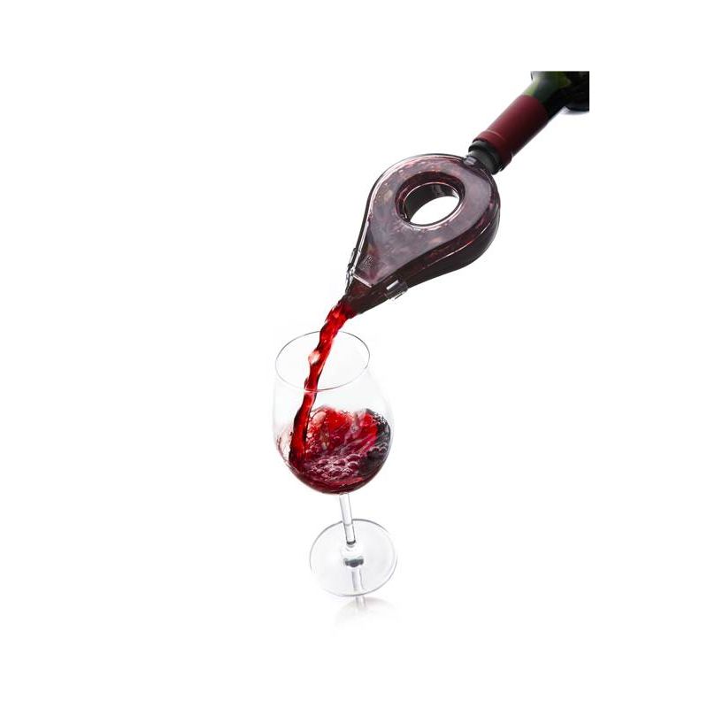 Decanter per vino con versatore e filtro aeratore incorporato, Decanter per  vino in bottiglia, Decanter per vino, W